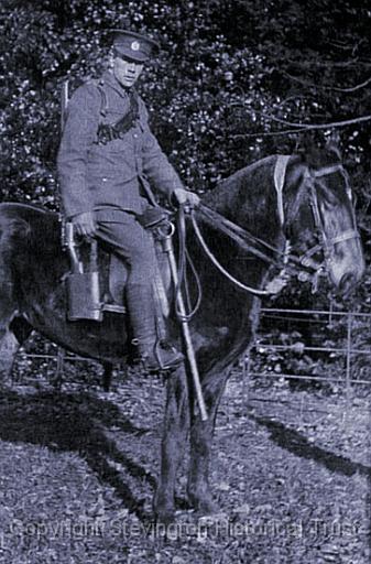 171.jpg